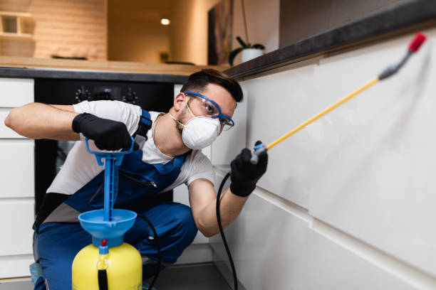 Reliable Wells, MN Pest Control Solutions