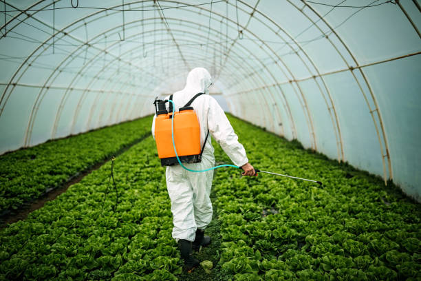 Best Pest Control for Homes  in Wells, MN