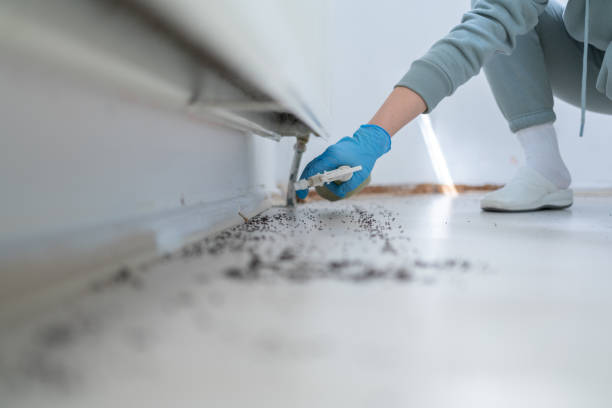 Best Mosquito Control Services  in Wells, MN